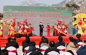 班切罗成长迅速揽二十加,魔术虽败犹荣展现重建曙光